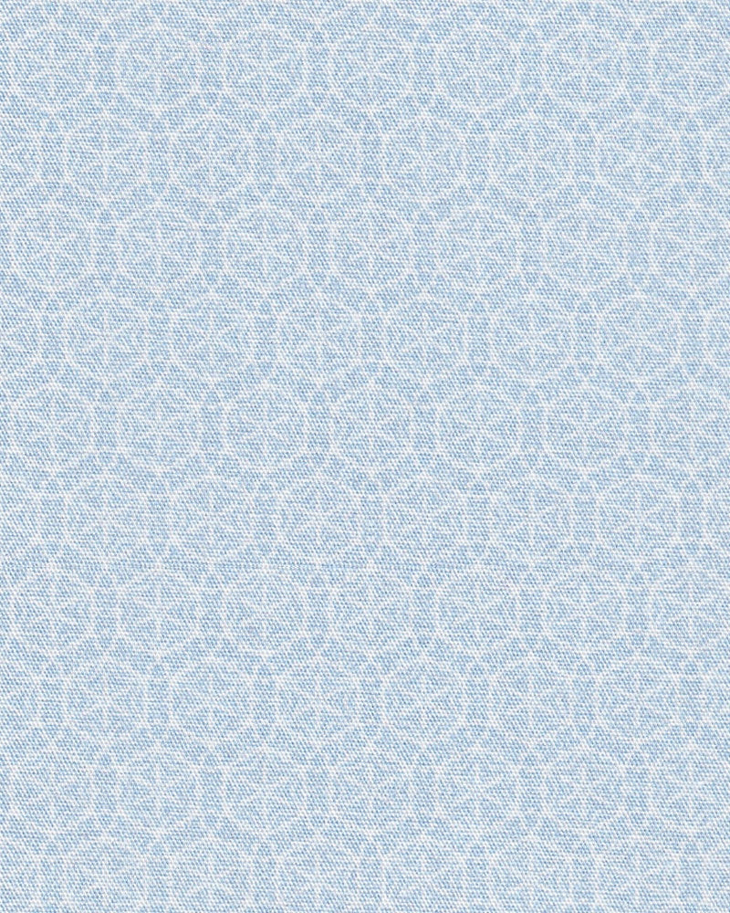 Freizeithemd mit Graphikmuster in Hellblau (Art. 2239-C)