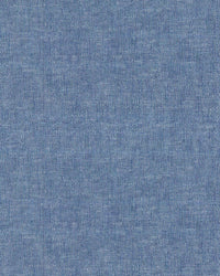 Freizeithemd in Blau  (Art. 2554-C)