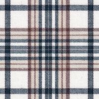 Flanellhemd mit Karomuster Off-White (Art. 2755-C)