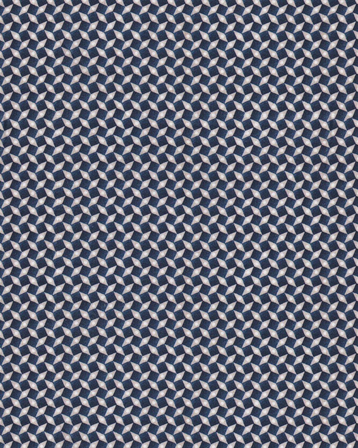 Freizeithemd Langarm mit Grafikprint in Beige/Blau (3013-C)